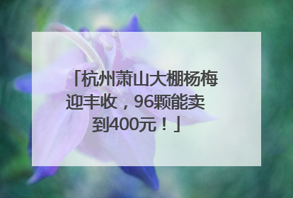 杭州萧山大棚杨梅迎丰收，96颗能卖到400元！