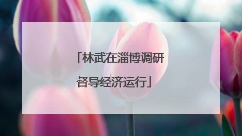 林武在淄博调研督导经济运行