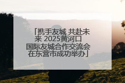 携手友城 共赴未来 2025黄河口国际友城合作交流会在东营市成功举办
