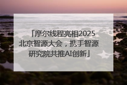 摩尔线程亮相2025北京智源大会，携手智源研究院共推AI创新
