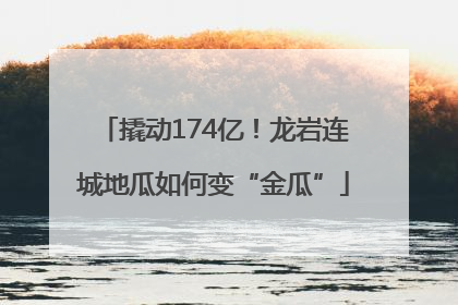 撬动174亿！龙岩连城地瓜如何变“金瓜”