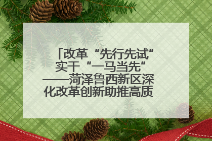 改革“先行先试” 实干“一马当先”——菏泽鲁西新区深化改革创新助推高质量发展纪实