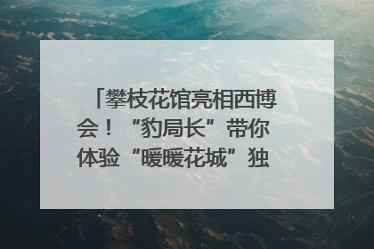 攀枝花馆亮相西博会！“豹局长”带你体验“暖暖花城”独特魅力｜西博视界