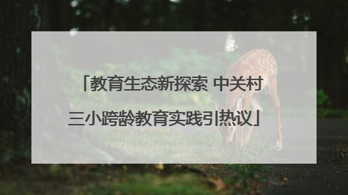 教育生态新探索 中关村三小跨龄教育实践引热议