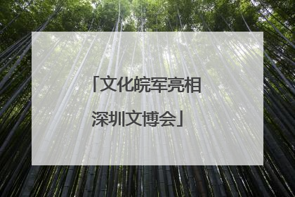 文化皖军亮相深圳文博会