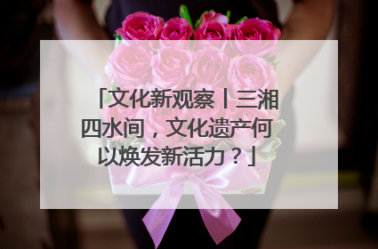 文化新观察丨三湘四水间，文化遗产何以焕发新活力？