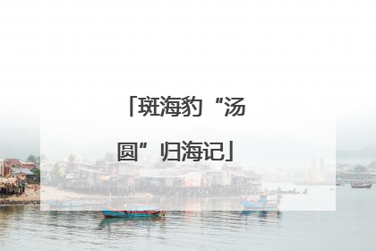 斑海豹“汤圆”归海记
