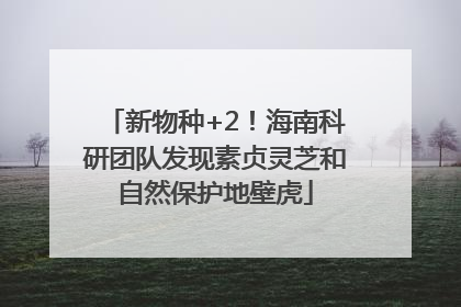 新物种+2！海南科研团队发现素贞灵芝和自然保护地壁虎