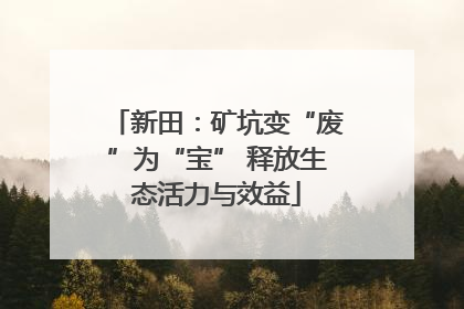 新田：矿坑变“废”为“宝” 释放生态活力与效益