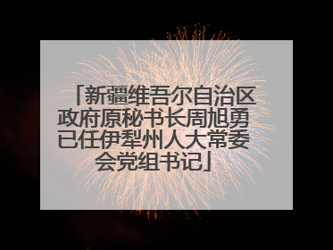 新疆维吾尔自治区政府原秘书长周旭勇已任伊犁州人大常委会党组书记
