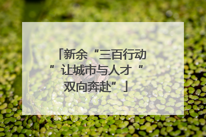 新余“三百行动”让城市与人才“双向奔赴”