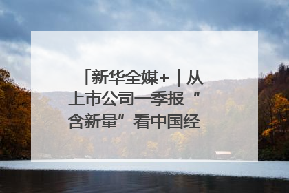 新华全媒+｜从上市公司一季报“含新量”看中国经济发展向“新”