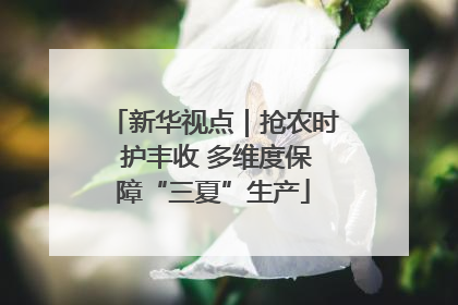 新华视点｜抢农时 护丰收 多维度保障“三夏”生产