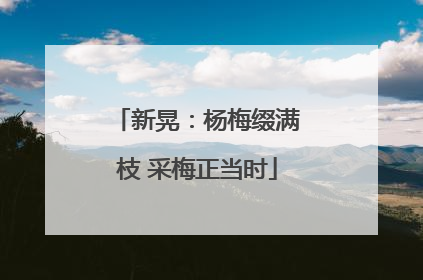 新晃：杨梅缀满枝 采梅正当时