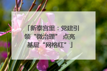 新泰宫里：党建引领“微治理” 点亮基层“网格红”