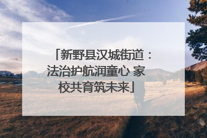 新野县汉城街道：法治护航润童心 家校共育筑未来