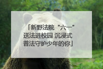 新野法院“六一”送法进校园 沉浸式普法守护少年的你