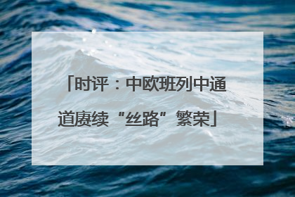 时评：中欧班列中通道赓续“丝路”繁荣