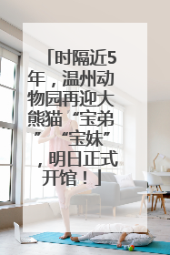 时隔近5年，温州动物园再迎大熊猫“宝弟”“宝妹”，明日正式开馆！