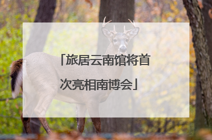 旅居云南馆将首次亮相南博会