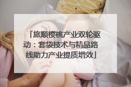 旅顺樱桃产业双轮驱动：套袋技术与精品路线助力产业提质增效