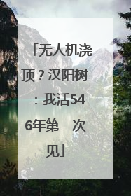 无人机浇顶？汉阳树：我活546年第一次见