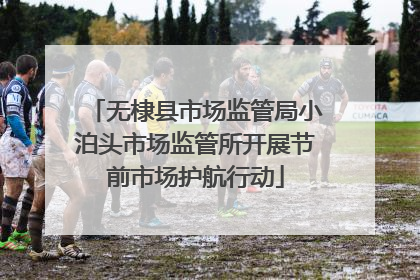 无棣县市场监管局小泊头市场监管所开展节前市场护航行动