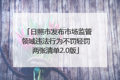 日照市发布市场监管领域违法行为不罚轻罚两张清单2.0版