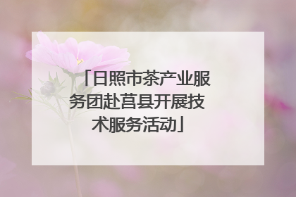 日照市茶产业服务团赴莒县开展技术服务活动