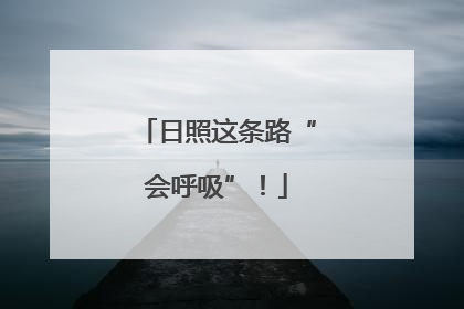 日照这条路“会呼吸”！