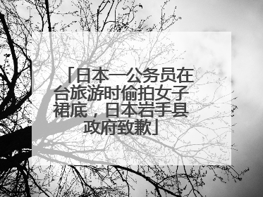 日本一公务员在台旅游时偷拍女子裙底，日本岩手县政府致歉
