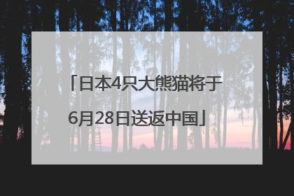 日本4只大熊猫将于6月28日送返中国