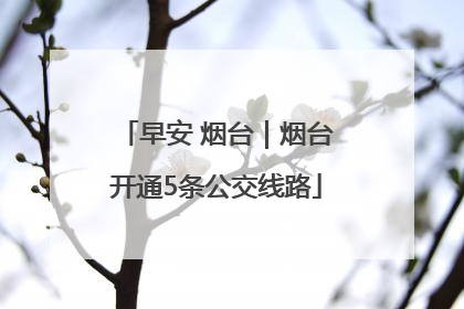 早安 烟台｜烟台开通5条公交线路