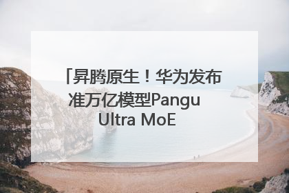 昇腾原生！华为发布准万亿模型Pangu Ultra MoE模型架构和训练细节