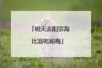 明天去阳宗海比赛吃杨梅