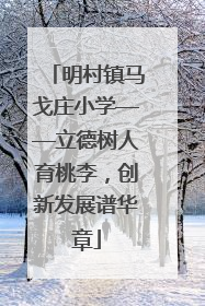 明村镇马戈庄小学——立德树人育桃李，创新发展谱华章