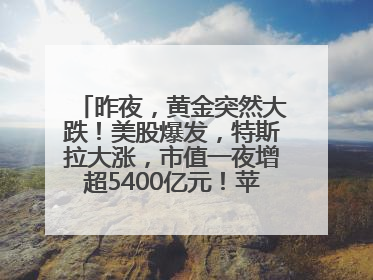 昨夜，黄金突然大跌！美股爆发，特斯拉大涨，市值一夜增超5400亿元！苹果传来大消息