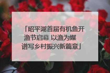 昭平湖首届有机鱼开渔节启幕 以渔为媒 谱写乡村振兴新篇章