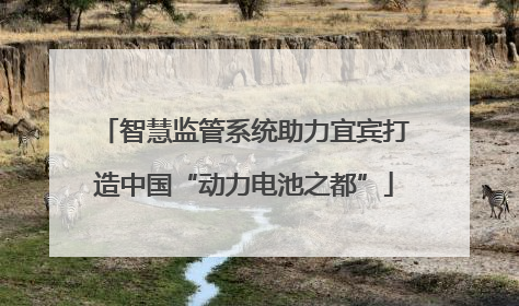 智慧监管系统助力宜宾打造中国“动力电池之都”