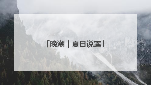 晚潮｜夏日说莲