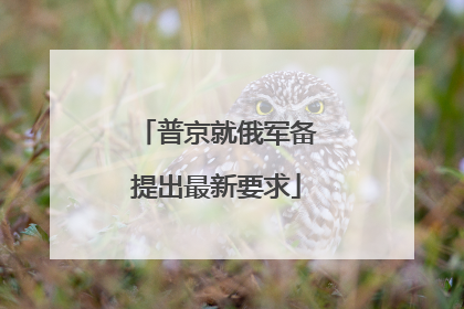 普京就俄军备提出最新要求