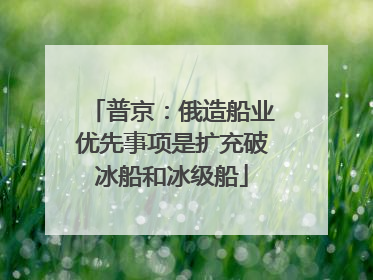 普京：俄造船业优先事项是扩充破冰船和冰级船