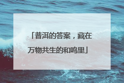 普洱的答案，藏在万物共生的和鸣里