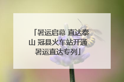 暑运启幕 直达泰山 冠县火车站开通暑运直达专列