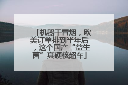 机器干冒烟，欧美订单排到半年后，这个国产“益生菌”真硬核超车