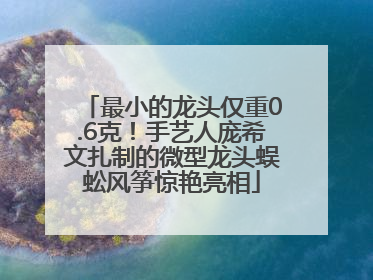 最小的龙头仅重0.6克！手艺人庞希文扎制的微型龙头蜈蚣风筝惊艳亮相