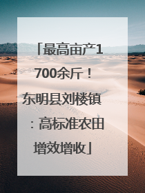 最高亩产1700余斤！东明县刘楼镇：高标准农田增效增收