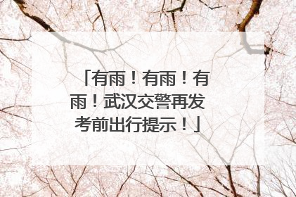 有雨！有雨！有雨！武汉交警再发考前出行提示！