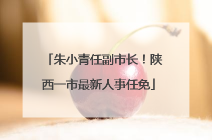 朱小青任副市长！陕西一市最新人事任免