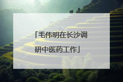 毛伟明在长沙调研中医药工作